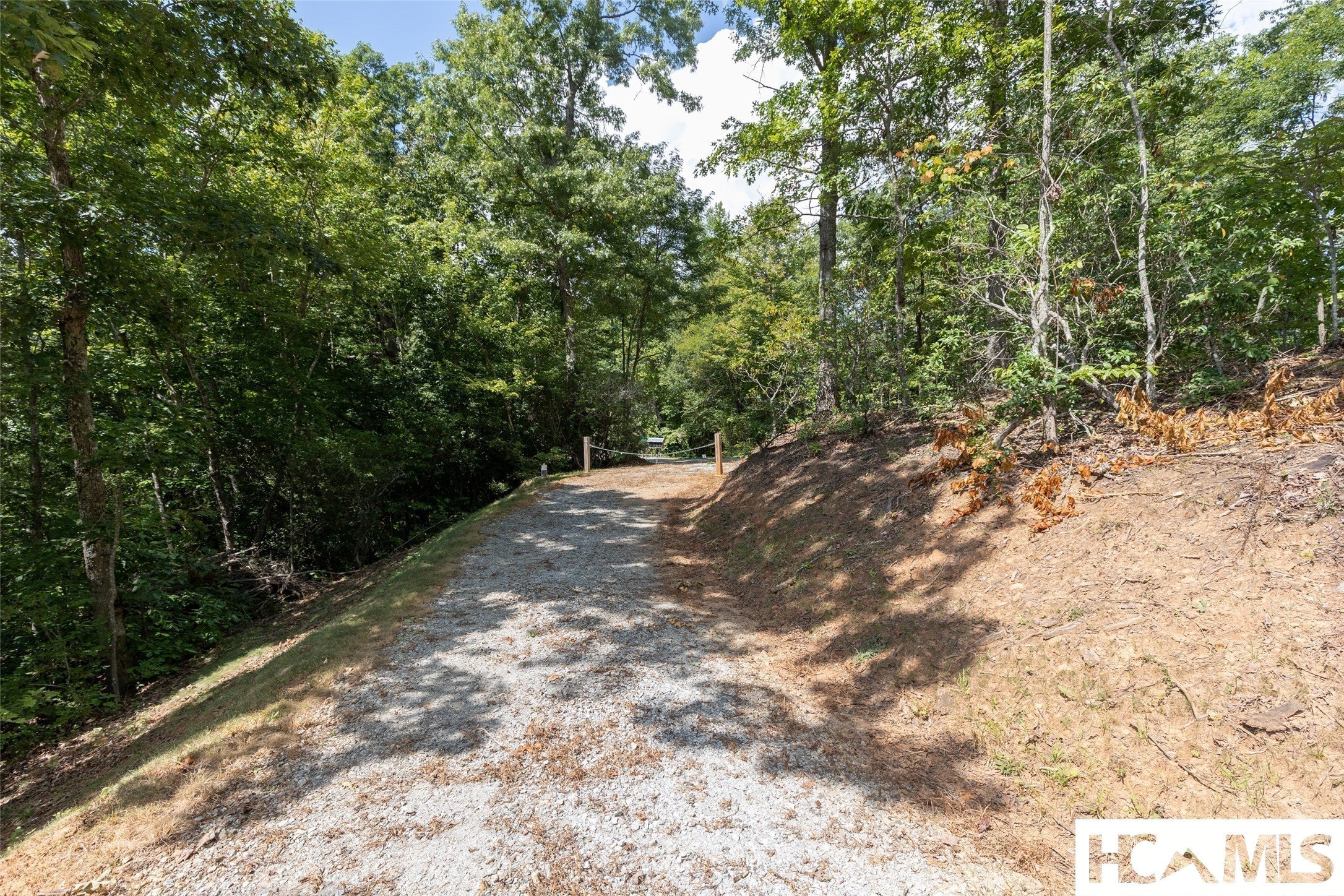 Tbd Onion Mountain Road Franklin, NC 28734 - Photo 11 of 24 Gallery Image 11