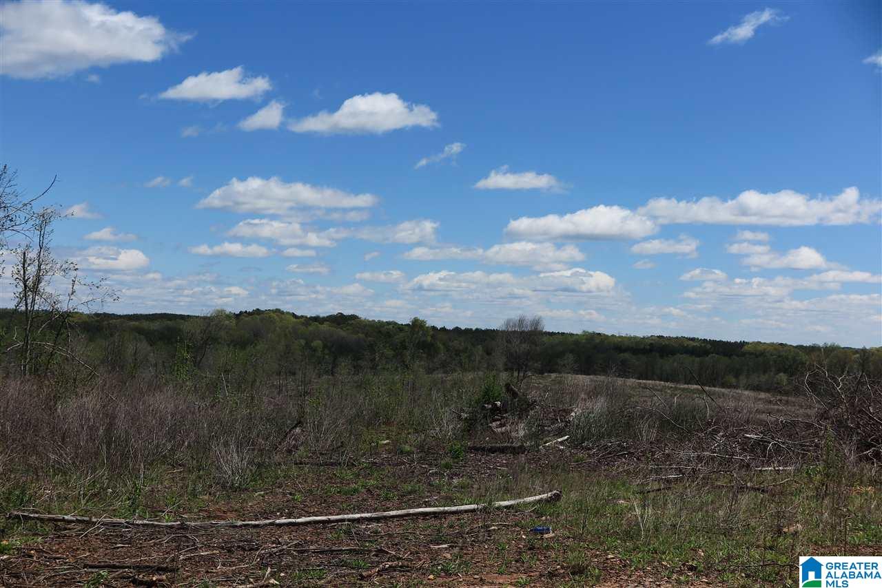 178 County Road, Unit 132 Five Points, AL 36855 - Photo 1 of 8
