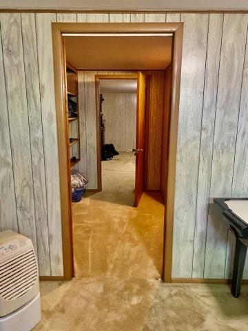 1812 Rhea Road Knoxville, TN 37920 - Photo 14 of 20 basement hall way