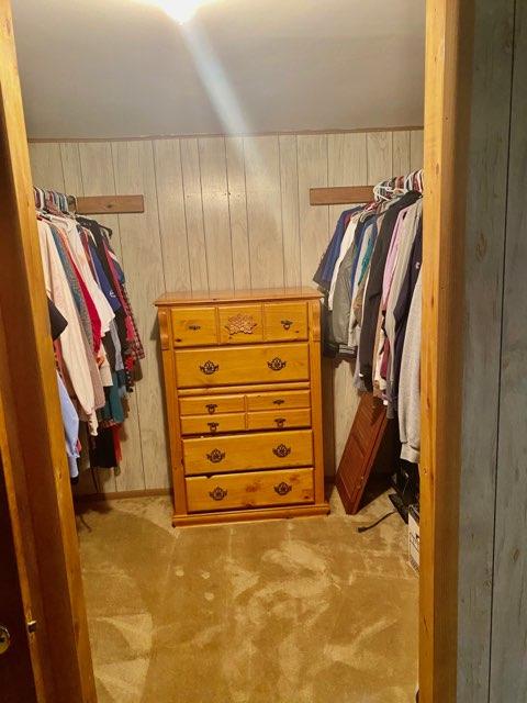 1812 Rhea Road Knoxville, TN 37920 - Photo 16 of 20 basement closet