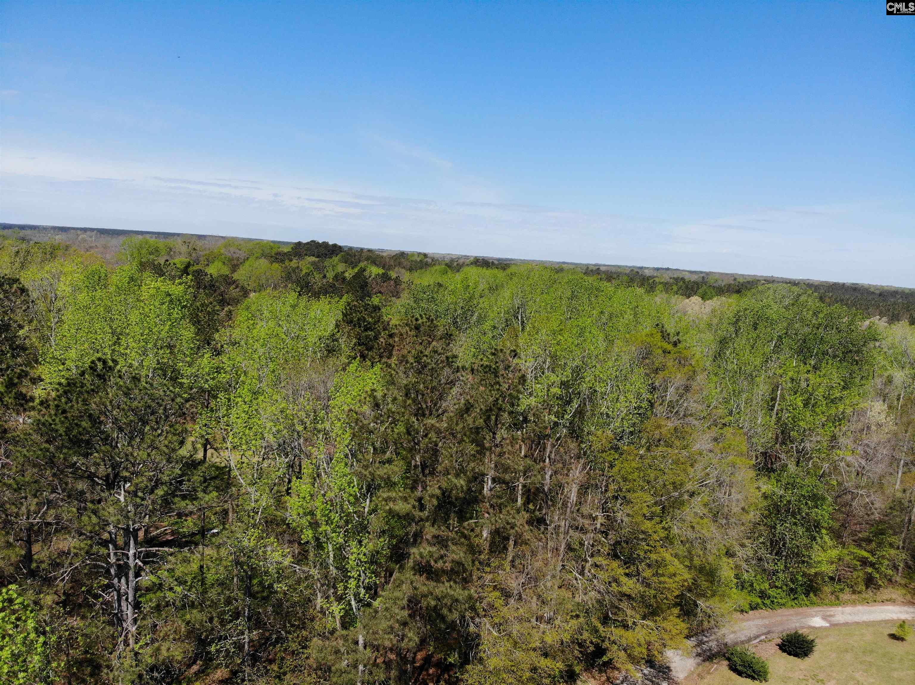 Tbd James Road Joanna, SC 29351 - Photo 29 of 82