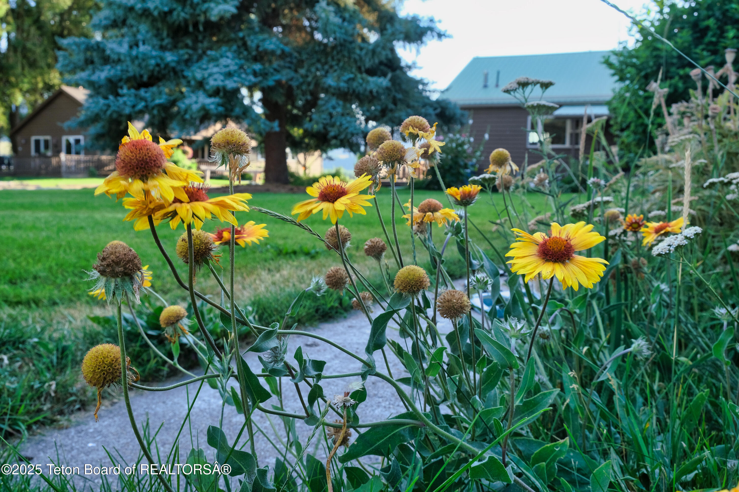 36 Trumpeter Lane Swan Valley, ID 83449 - Photo 59 of 65 Hansen Guest Ranch_For MLS-59