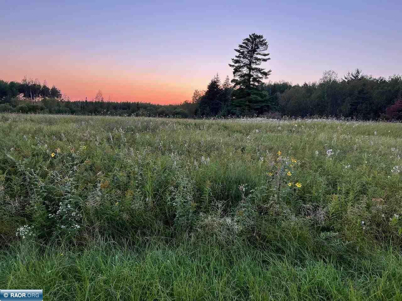 Tbd Peterson Road North Cook, MN 55723 - Photo 1 of 6