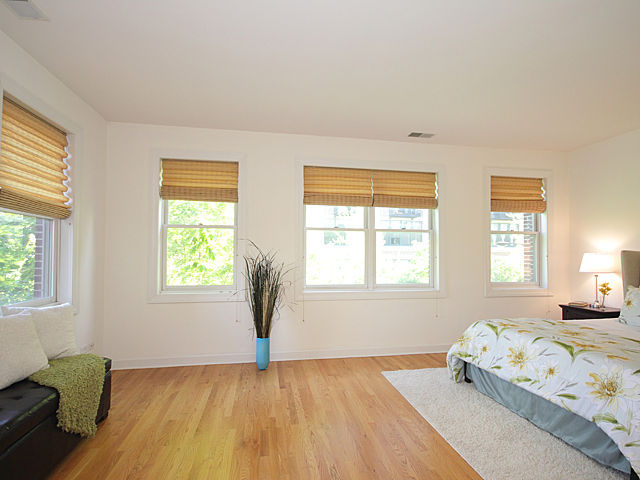 234 East Cullerton Street Chicago, IL 60616 - Photo 11 of 15