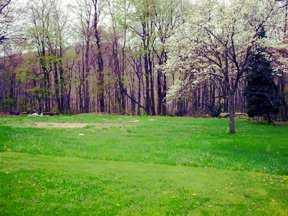 303 Rader School Road Renfrew, PA 16053 - Photo 2 of 2
