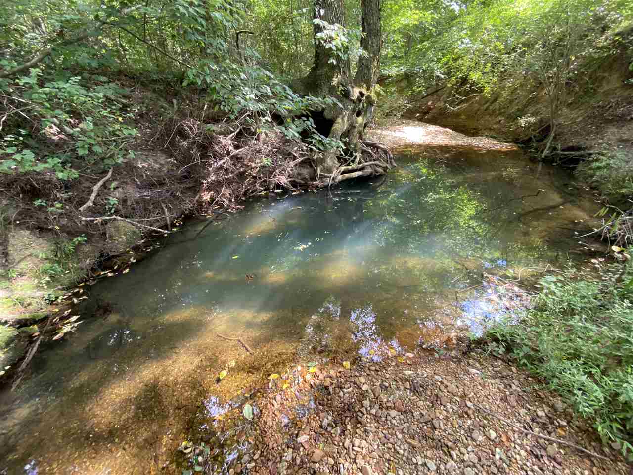 745 Seay Road Adamsville, TN 38310 - Photo 18 of 25 Gallery Image 18