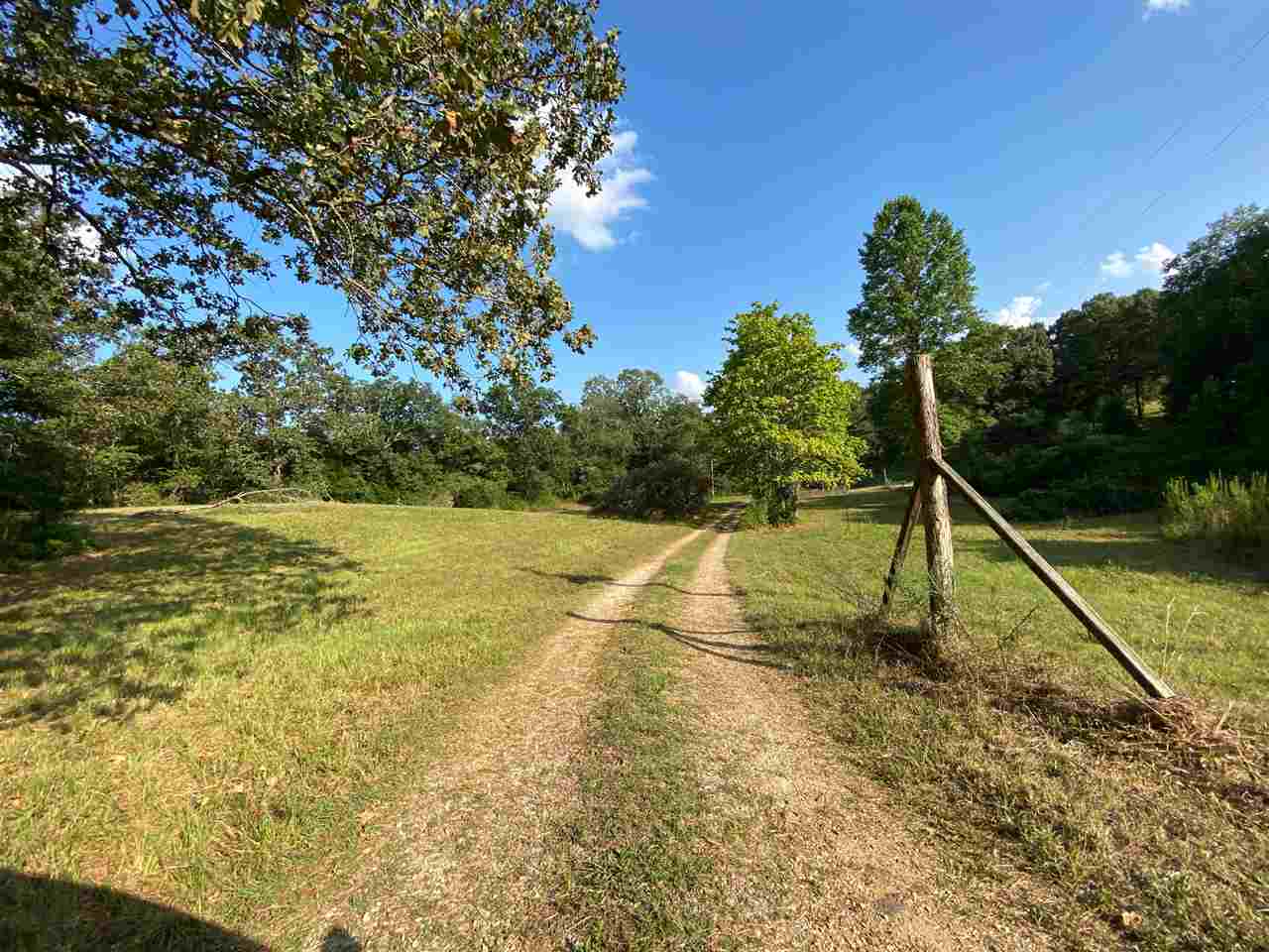 745 Seay Road Adamsville, TN 38310 - Photo 20 of 25 Gallery Image 20
