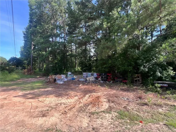 a view of backyard with green space