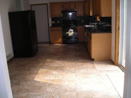 2004 Broken Ski Road Henryville, PA 18332 - Photo 3 of 9 2nd kitchen