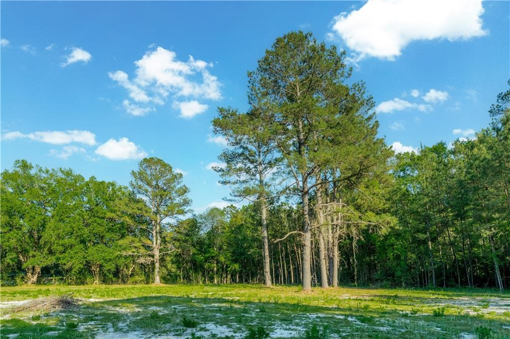 264 Williams Loop Waycross, GA 31503 - Photo 23 of 33