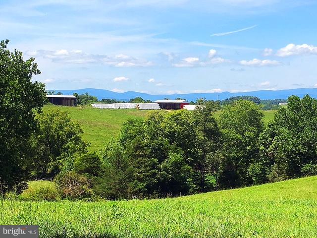 Monumental Mills Road Rixeyville, VA 22737 - Photo 4 of 18 Potential view of adjacent farm with clearing