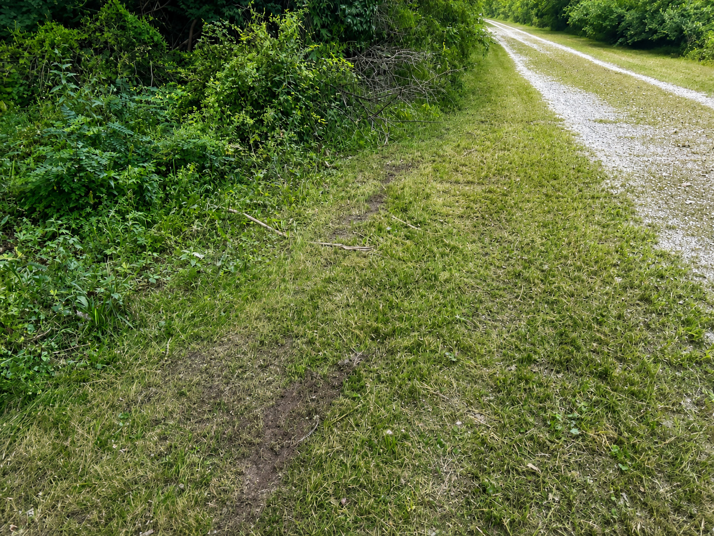 0 15500th Road Pembroke Township, IL 60958 - Photo 4 of 5 Gallery Image 4