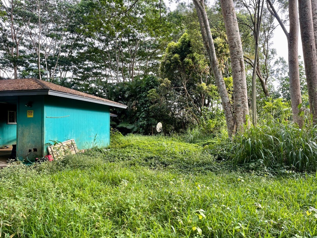 6296 Olohena Road Kapaa, HI 96746 - Photo 26 of 30 a backyard of a house with lots of green space