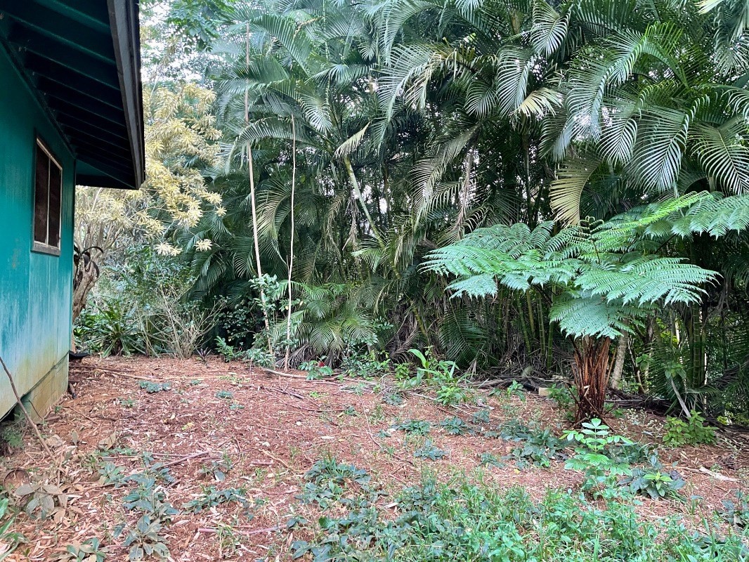6296 Olohena Road Kapaa, HI 96746 - Photo 27 of 30 a view of backyard with green space