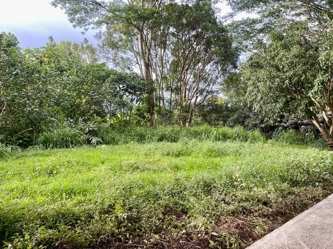 6296 Olohena Road Kapaa, HI 96746 - Photo 29 of 30 a view of a lush green space