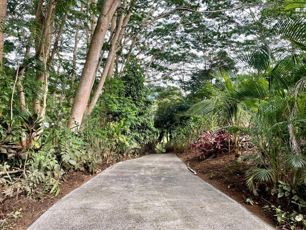 6296 Olohena Road Kapaa, HI 96746 - Photo 30 of 30 a view of a garden with plants and trees