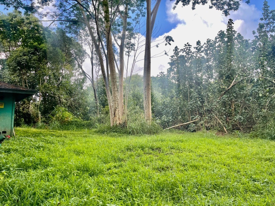 6296 Olohena Road Kapaa, HI 96746 - Photo 5 of 30 a backyard of a house with lots of green space