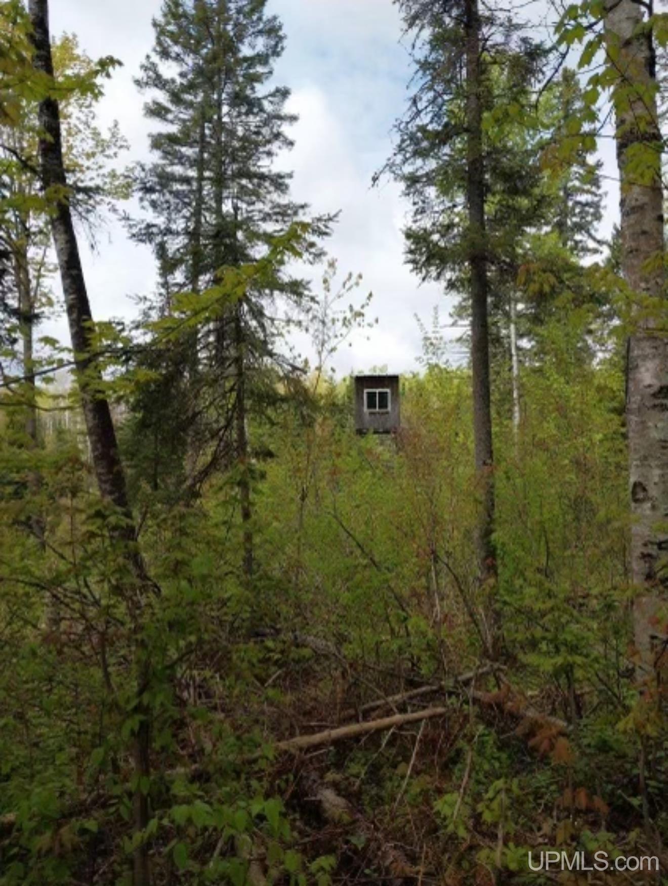 Tbd Gauthier Road Bruce Crossing, MI 49912 - Photo 6 of 18