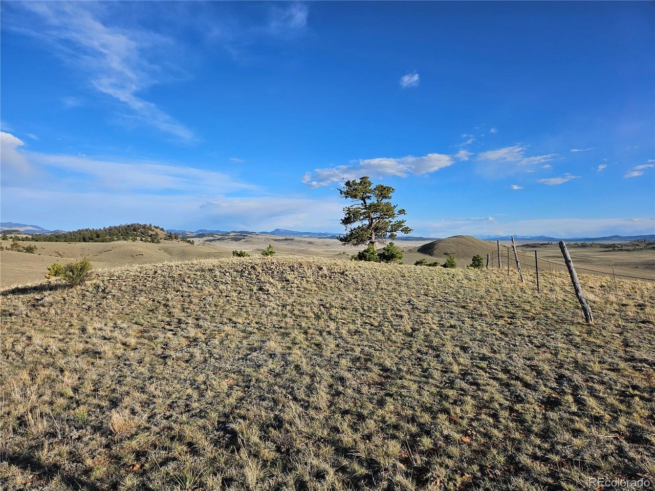 24142 Antero Road Hartsel, CO 80449 - Photo 33 of 48