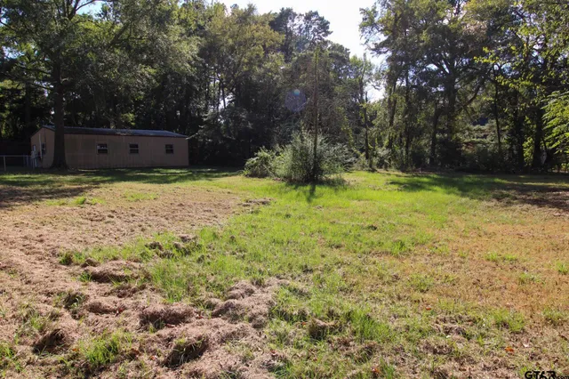 a backyard of a house with a yard and tree