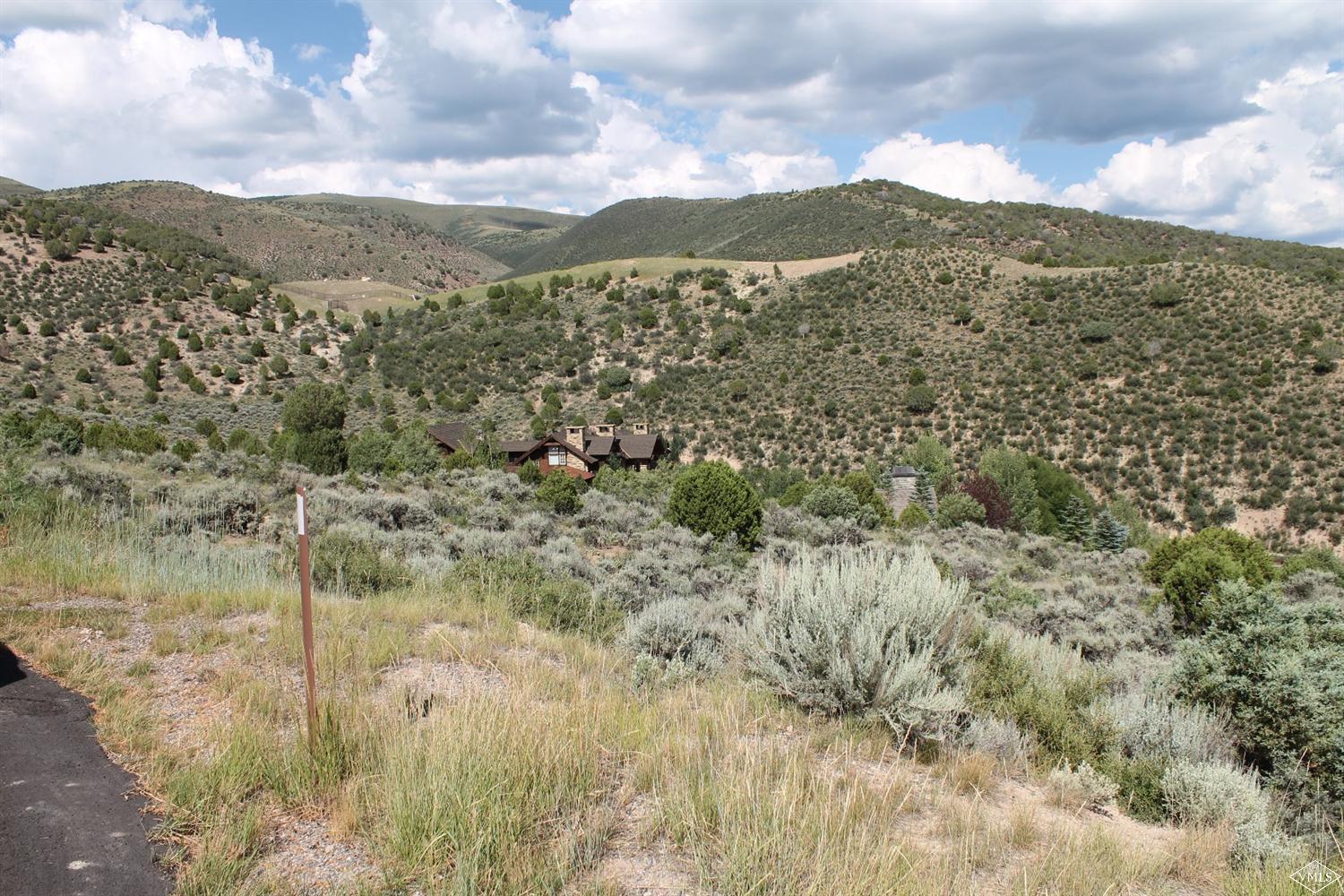 217 Spring Creek Lane Edwards, CO 81632 - Photo 15 of 19 Additional Photo