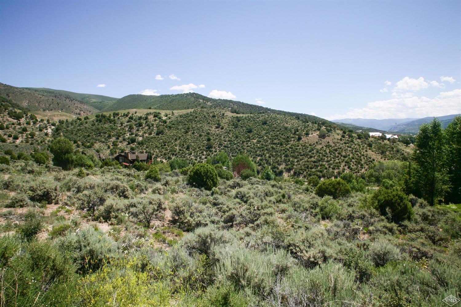217 Spring Creek Lane Edwards, CO 81632 - Photo 8 of 19 Additional Photo