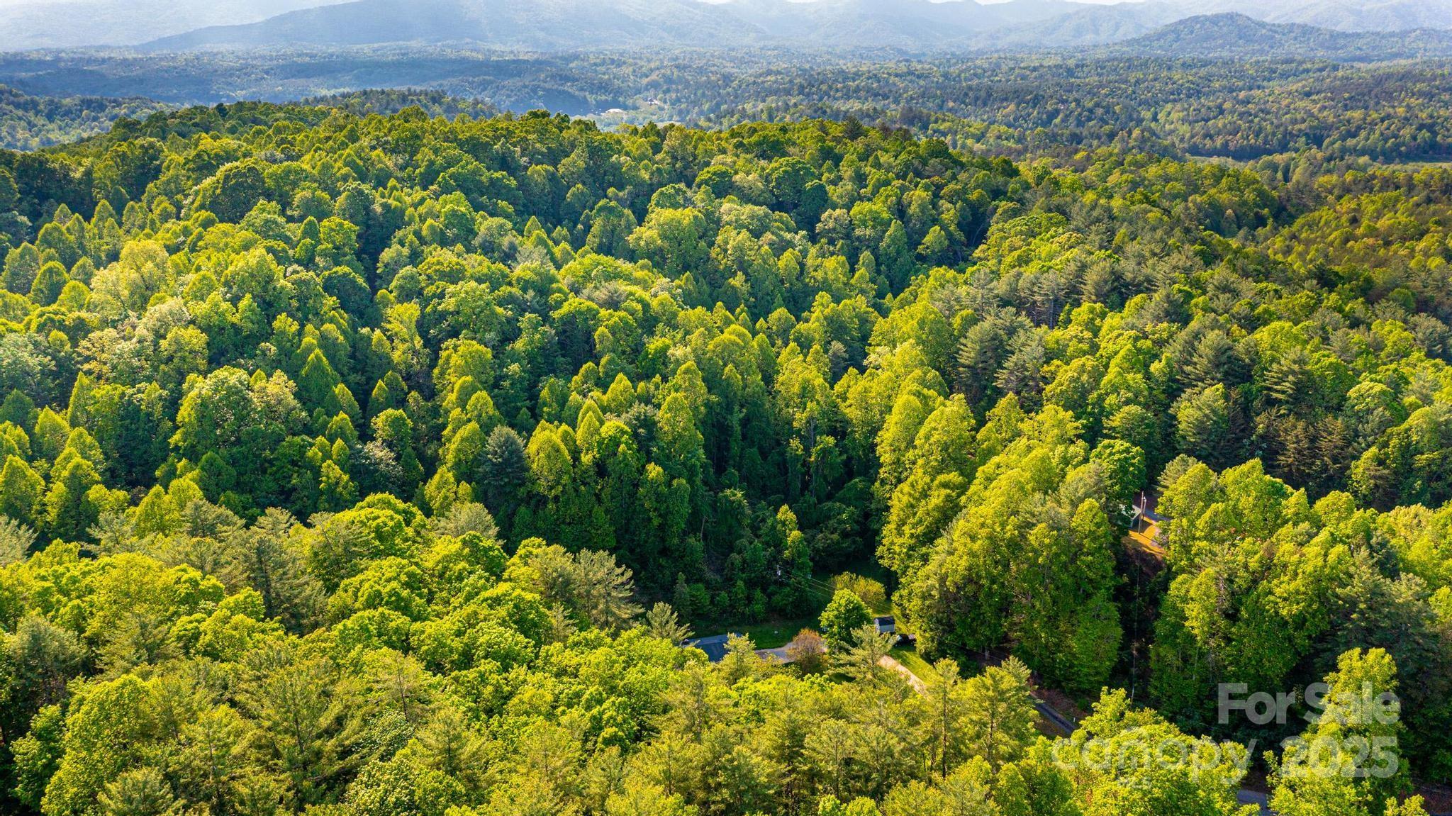 1300 Math Place Lenoir, NC 28645 - Photo 12 of 48 Gallery Image 12