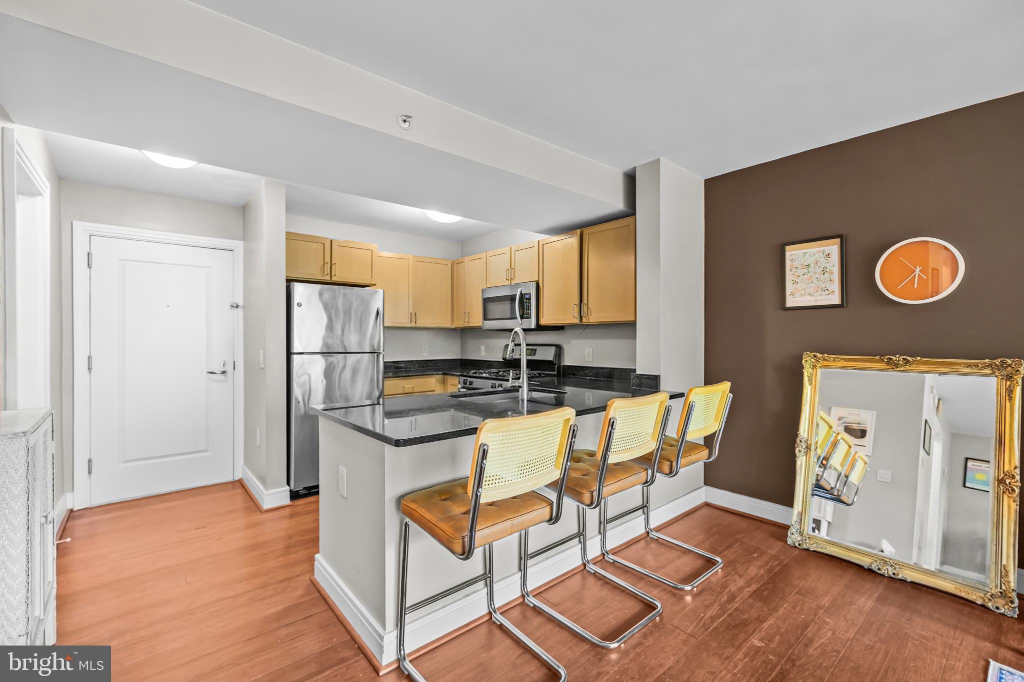 800 4th Street Southwest, Unit N305 Washington, DC 20024 - Photo 3 of 26