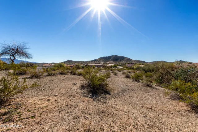 a view of a dry yard with mountains in the background