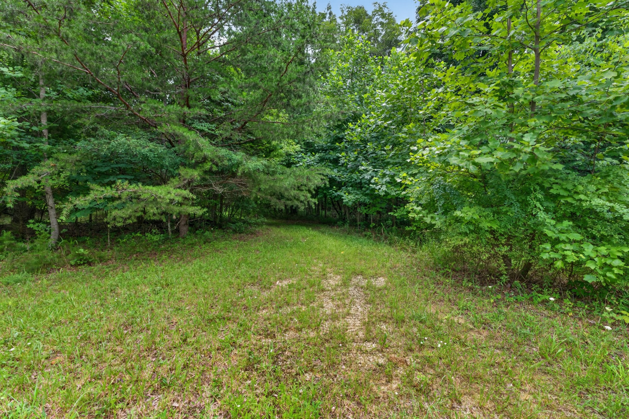 0 Eagle Cliff Road Monteagle, TN 37356 - Photo 16 of 26