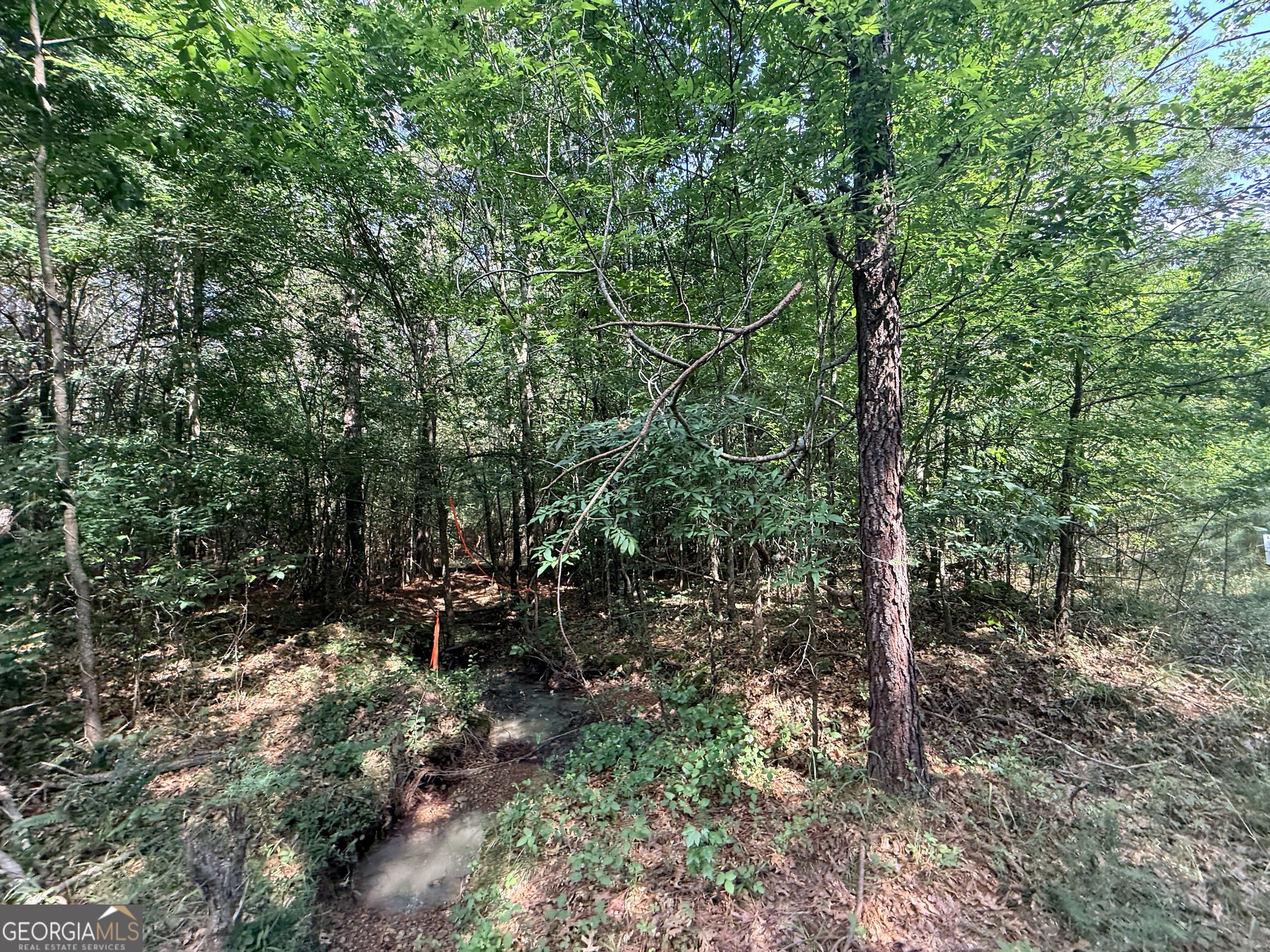 1 Bethesda Church Road Lexington, GA 30648 - Photo 61 of 78