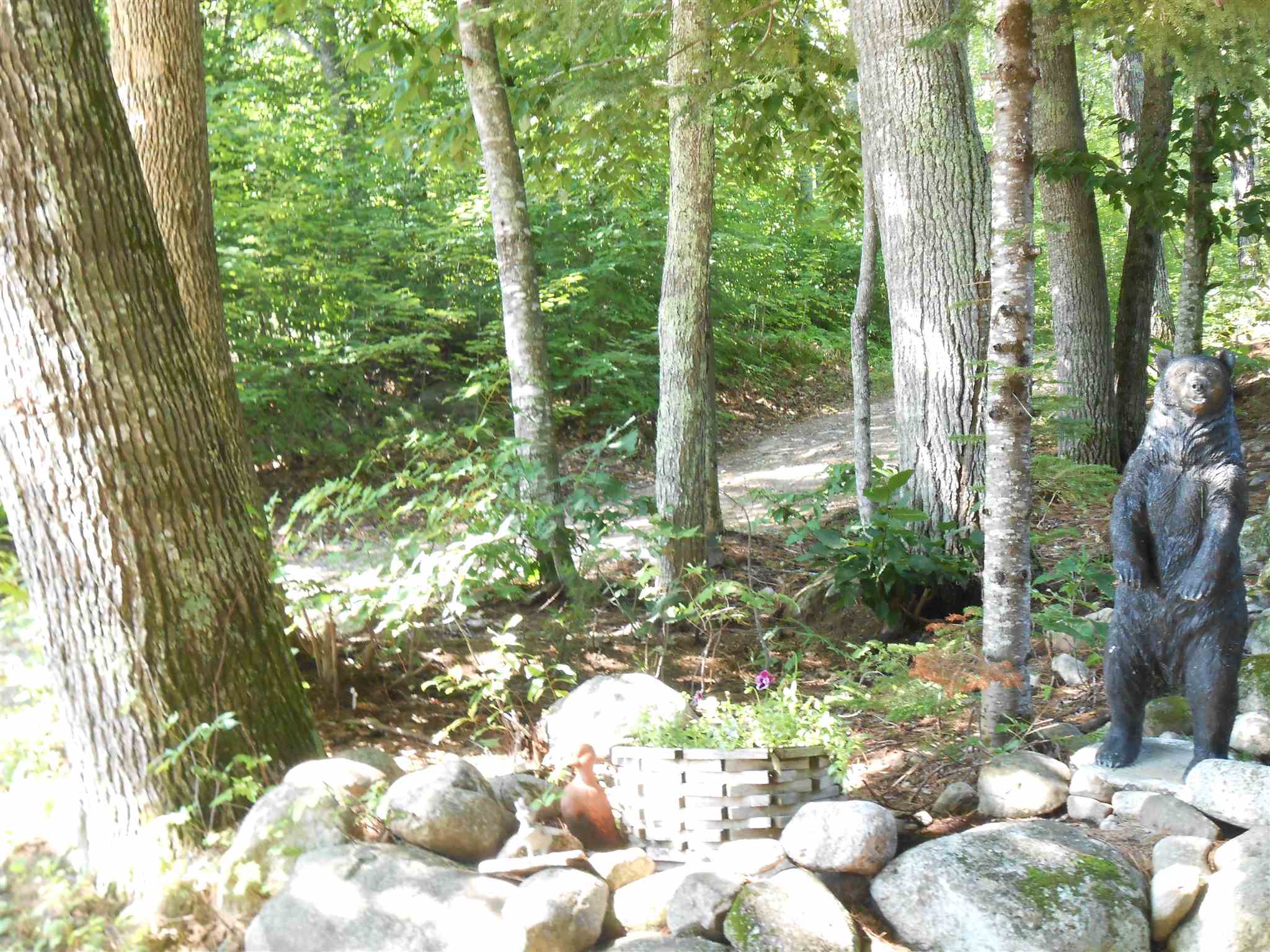 401 Highwatch Road Effingham, NH 03882 - Photo 22 of 33