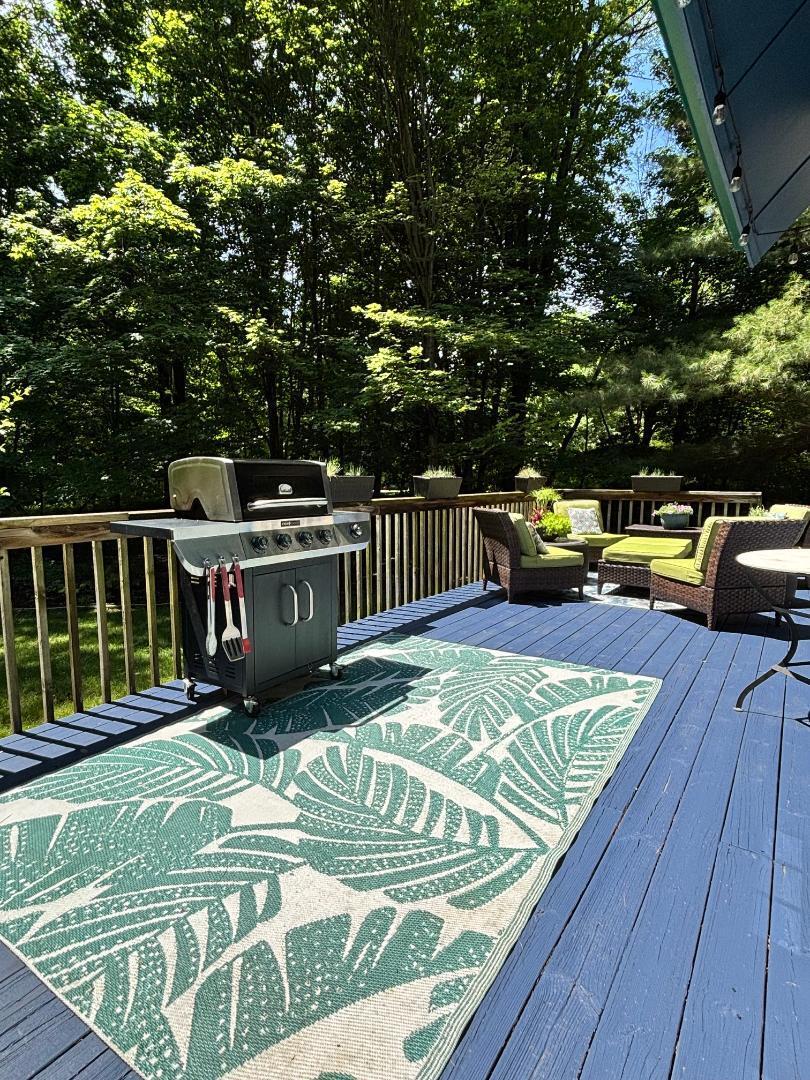 8702 Elm Valley Road Three Oaks, MI 49128 - Photo 12 of 17 grill
