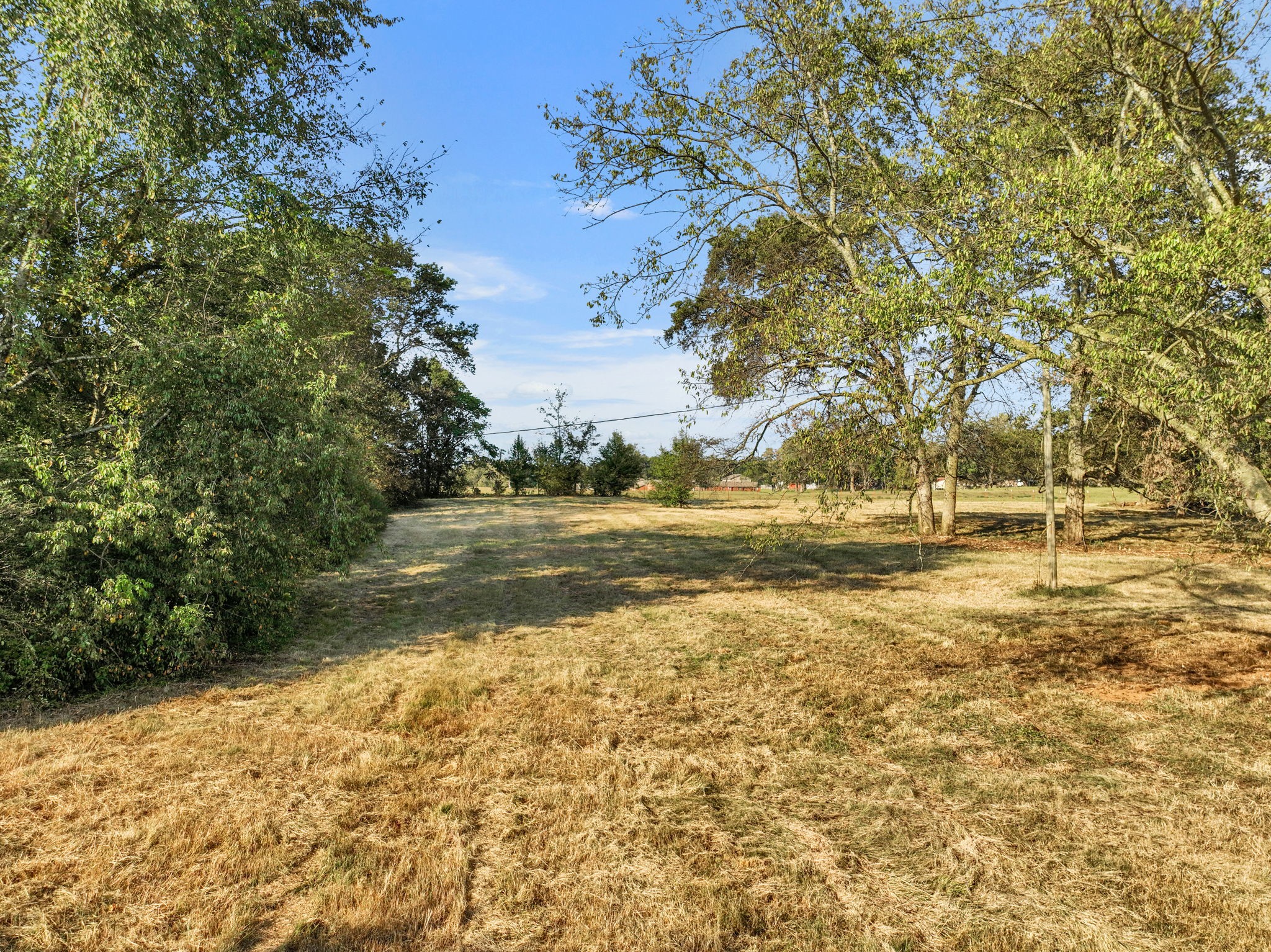 535 Scott Road Mount Pleasant, TN 38474 - Photo 31 of 40 a view of lake view