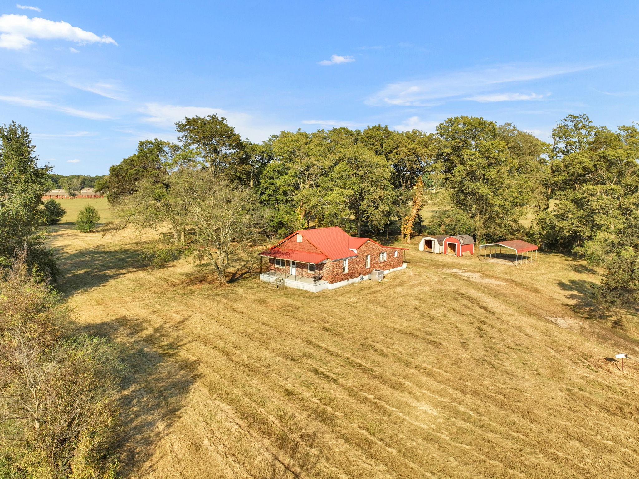 535 Scott Road Mount Pleasant, TN 38474 - Photo 36 of 40 a view of outdoor space and tree