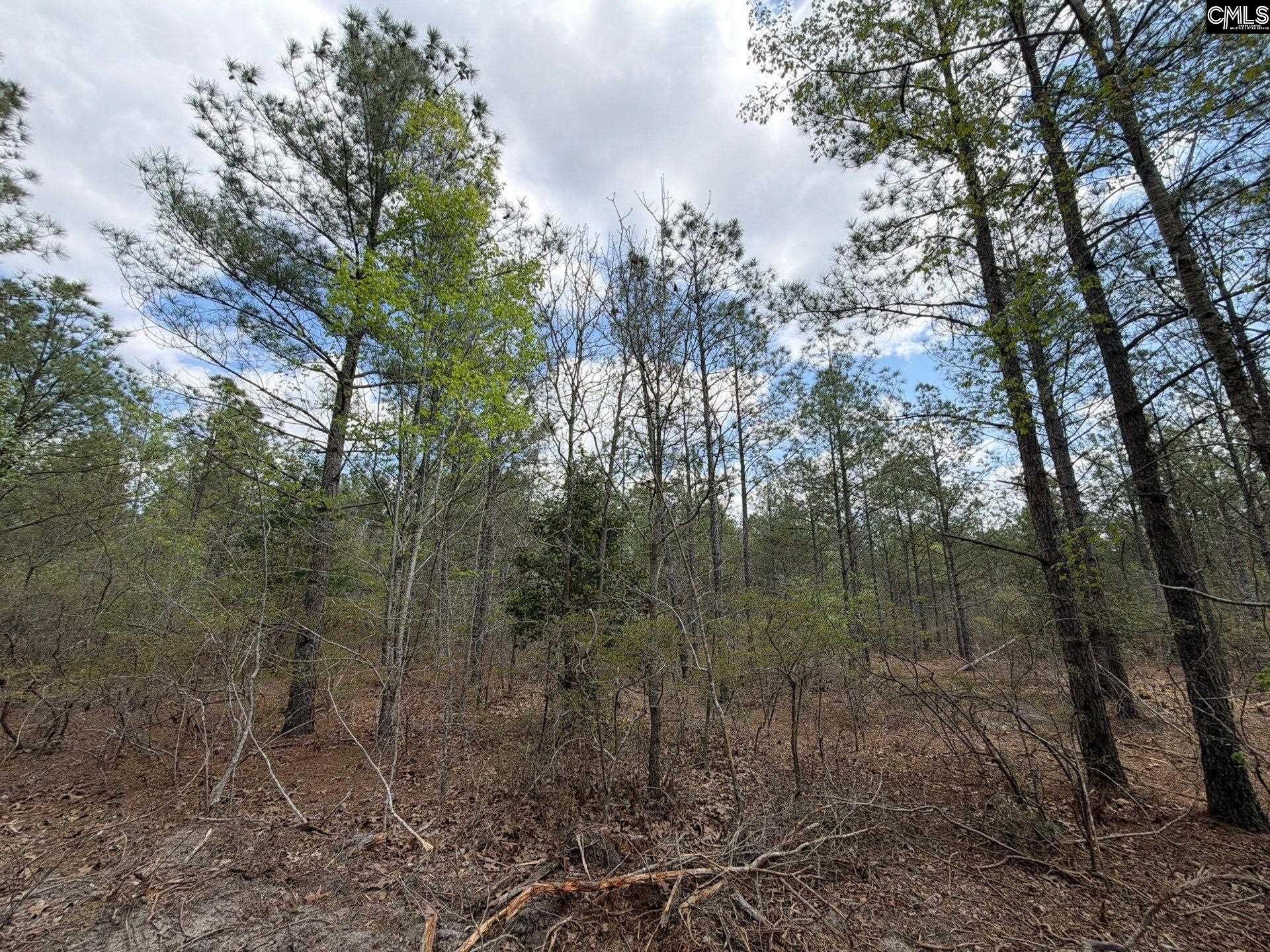 4 Mt Calvary Rd Ridge Spring Ridge Spring, SC 29129 - Photo 15 of 40