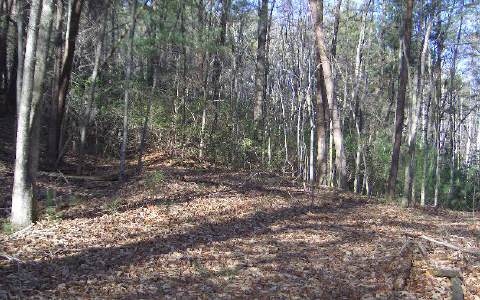 2.1 Ac Ellijay, GA 30536 - Photo 1 of 1 Main View