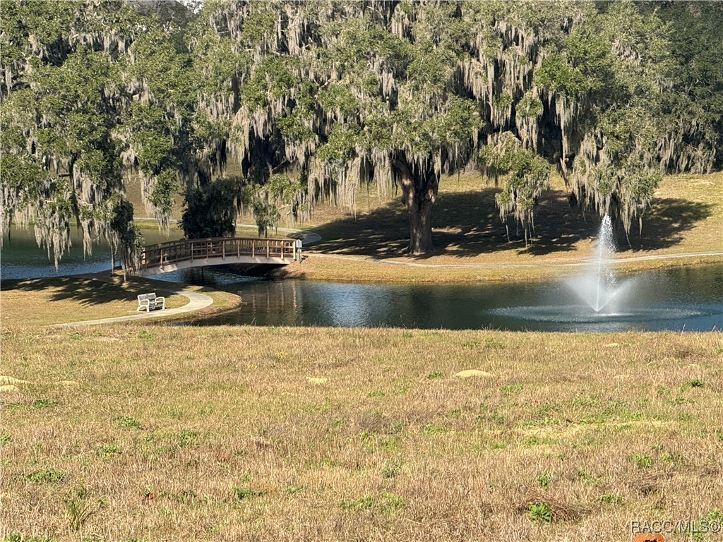 244 North Lake Shenandoah Loop Inverness, FL 34453 - Photo 5 of 26 Gallery Image 5