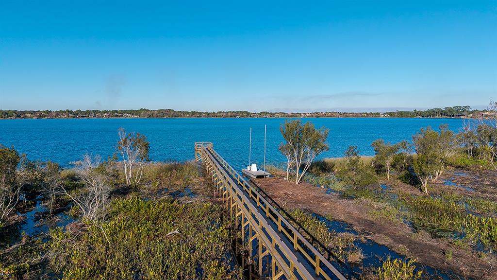 19341 Lochside Lane Mount Dora, FL 32757 - Photo 14 of 16