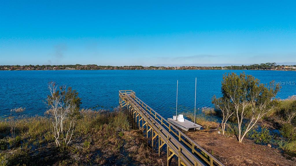 19341 Lochside Lane Mount Dora, FL 32757 - Photo 15 of 16