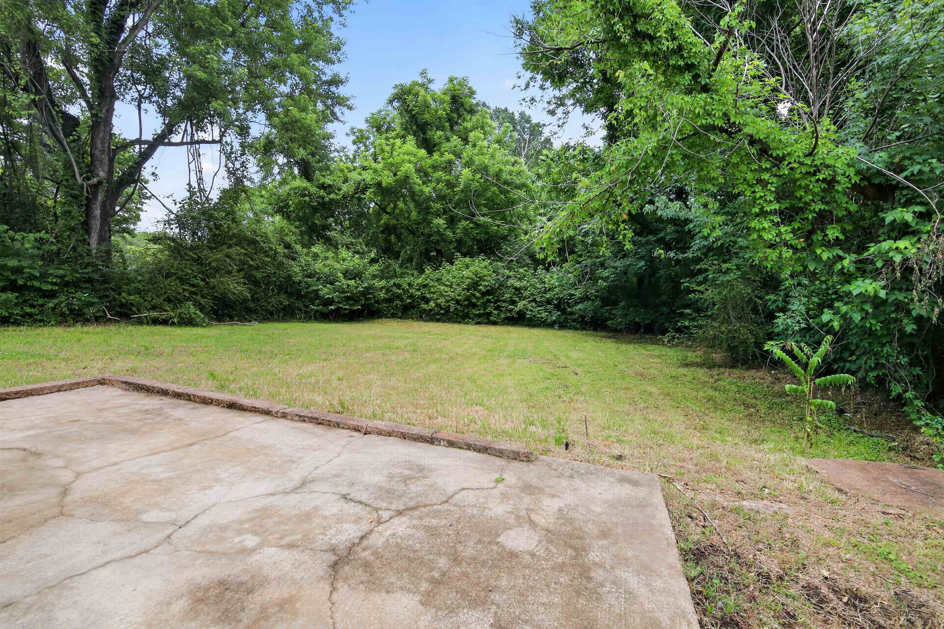 4838 Manson Road Memphis, TN 38109 - Photo 4 of 28 Expansive rear yard featuring a concrete patio, mature trees, and natural landscaping