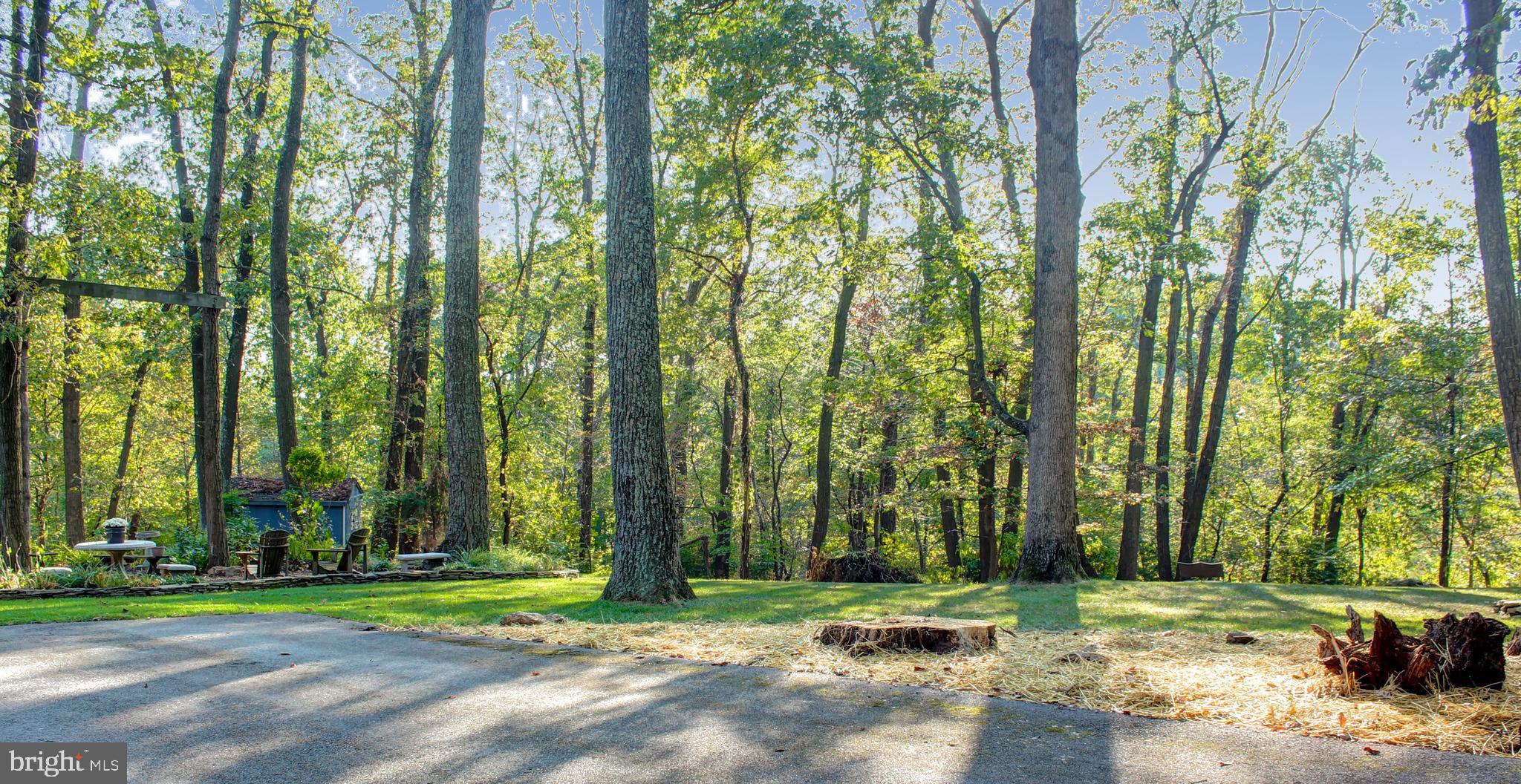 4934 Fleming Road Mount Airy, MD 21771 - Photo 23 of 42 Private, flat back yard