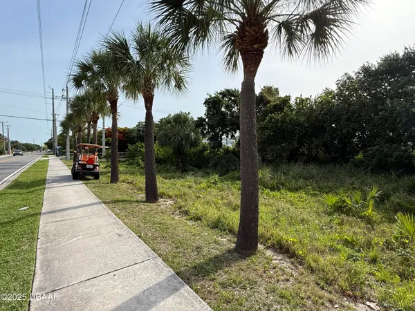a view of a yard with palm trees
