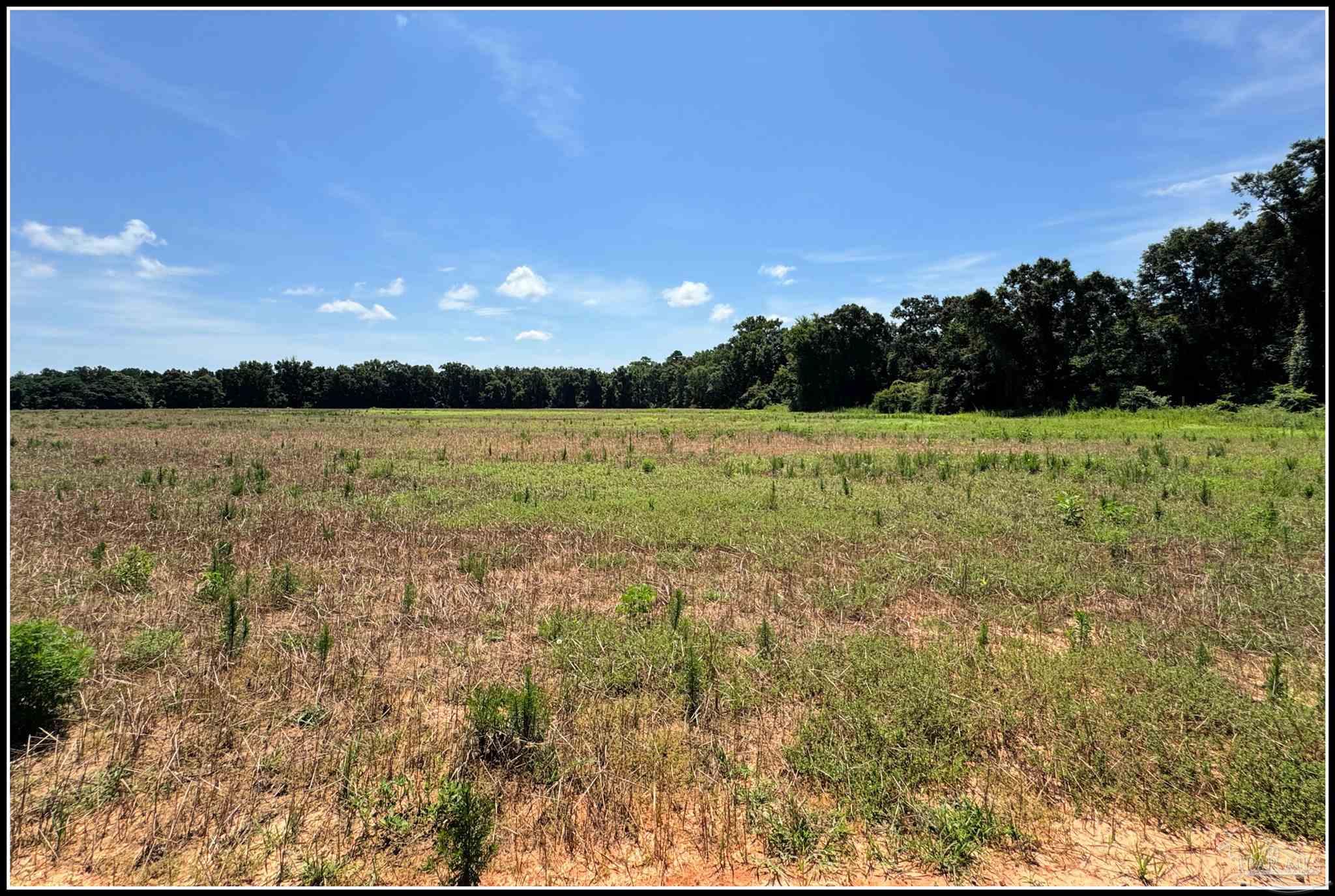 9150 3 Hollow Road Jay, FL 32565 - Photo 11 of 11
