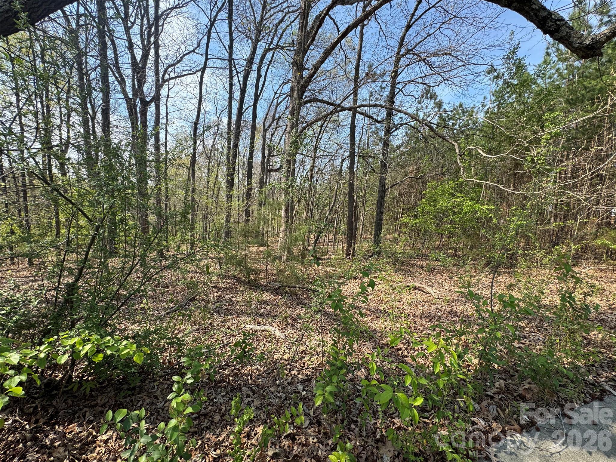 2228 Sam Newell Road Matthews, NC 28105 - Photo 11 of 18