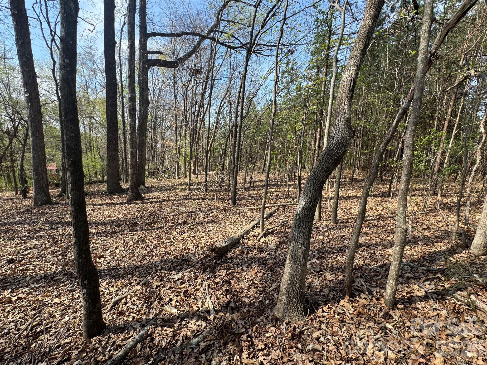 2228 Sam Newell Road Matthews, NC 28105 - Photo 12 of 18