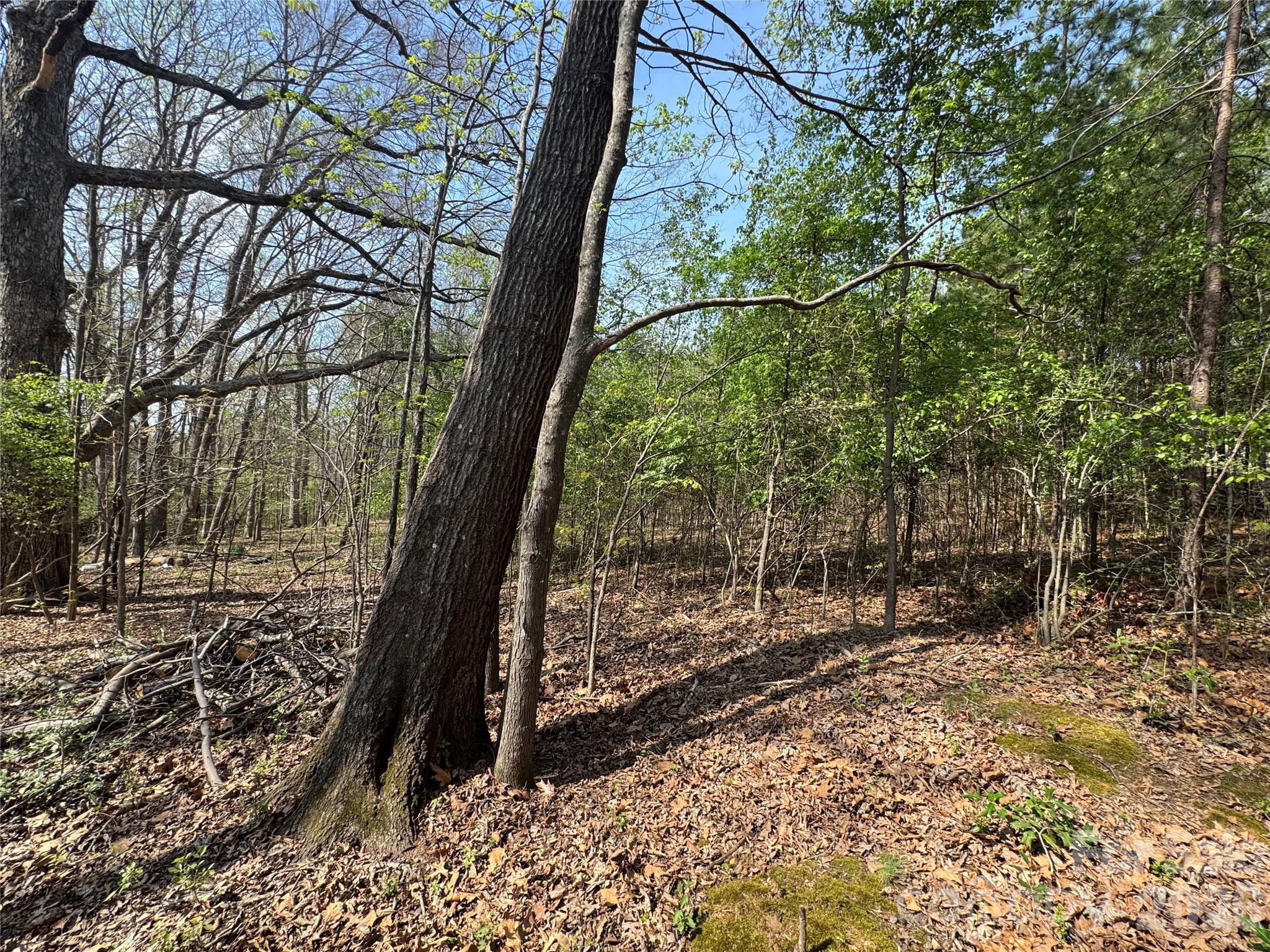 2228 Sam Newell Road Matthews, NC 28105 - Photo 17 of 18