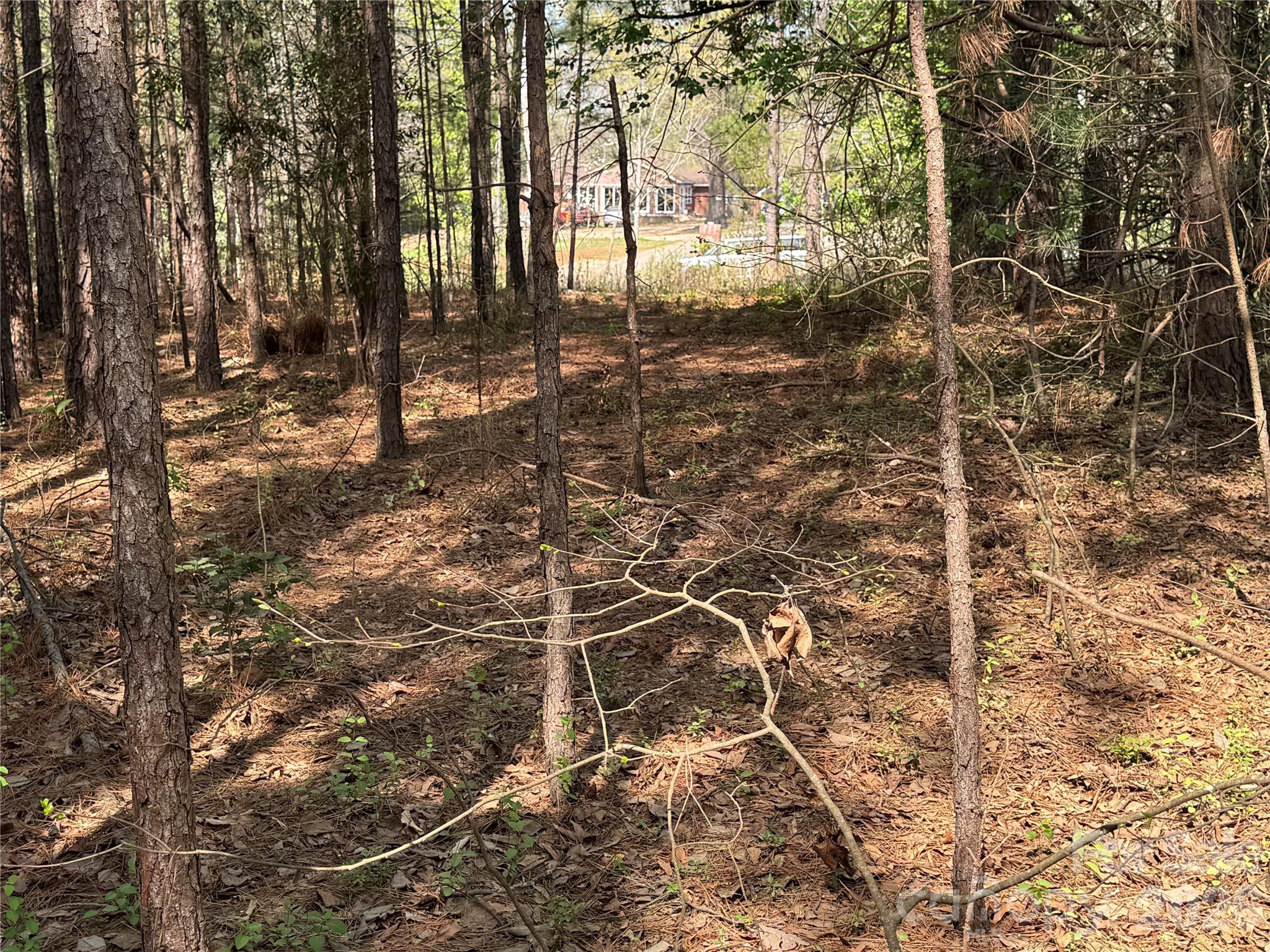 2228 Sam Newell Road Matthews, NC 28105 - Photo 2 of 18