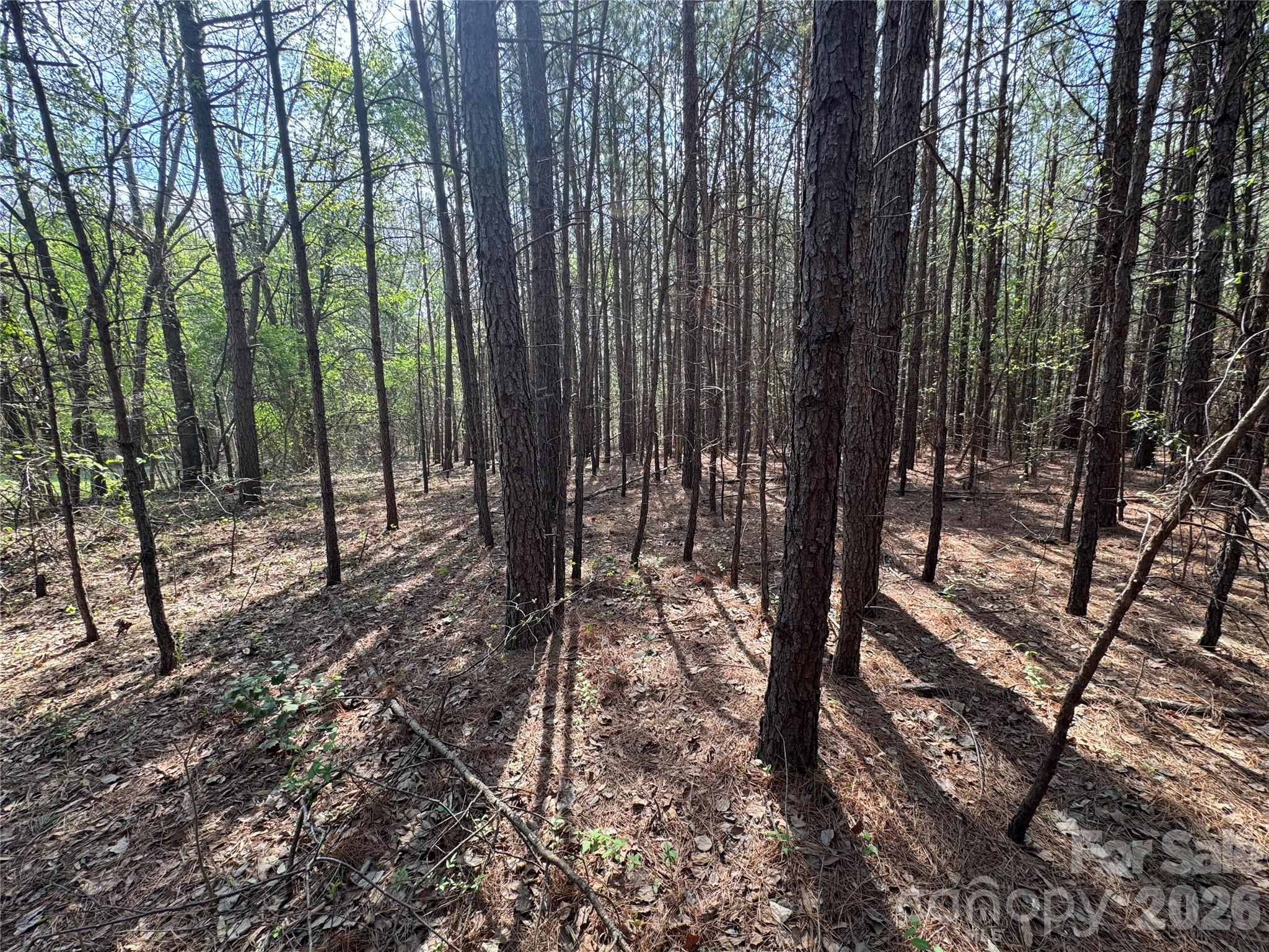 2228 Sam Newell Road Matthews, NC 28105 - Photo 3 of 18