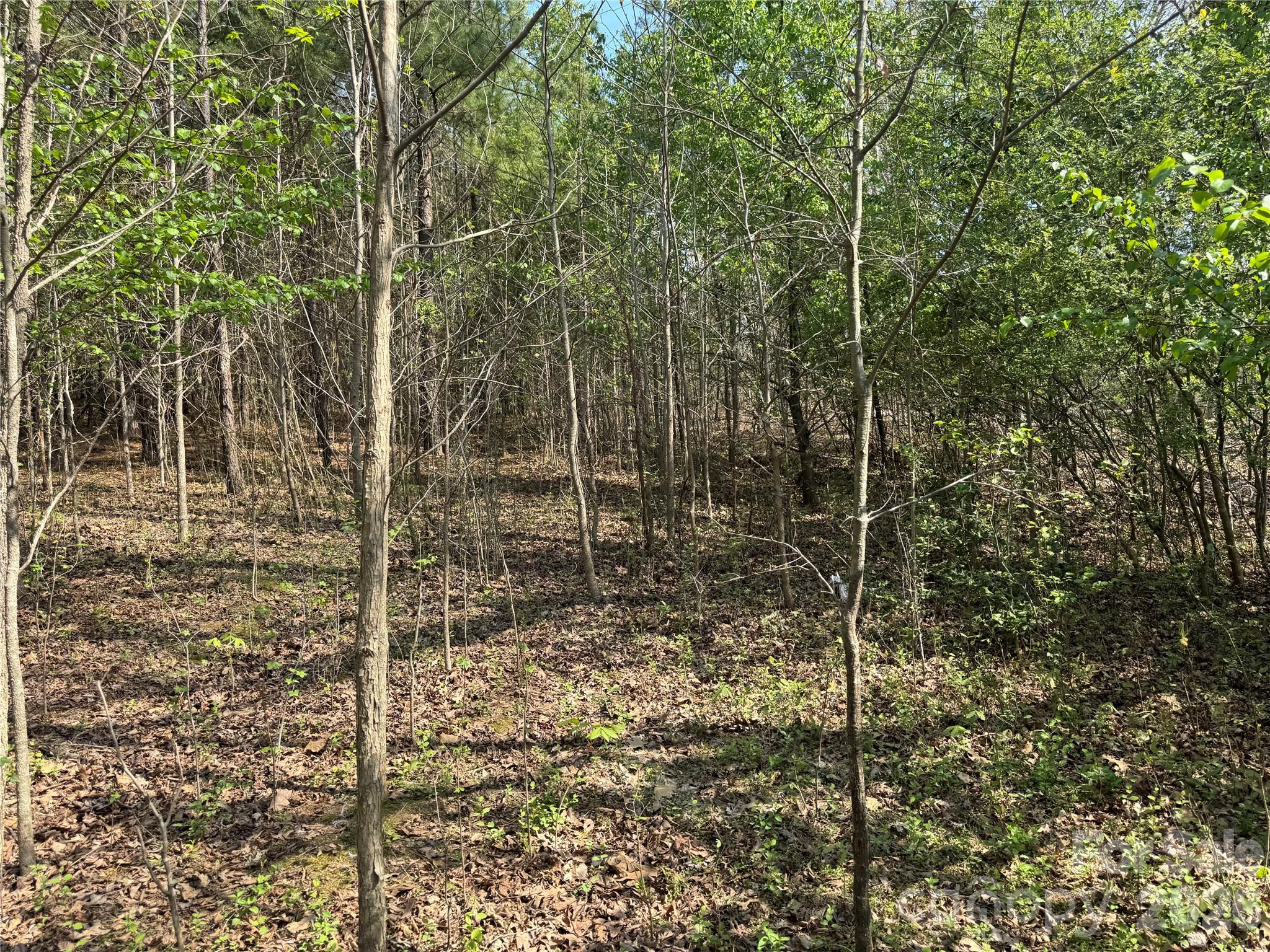 2228 Sam Newell Road Matthews, NC 28105 - Photo 5 of 18